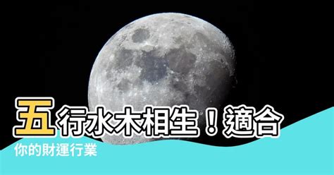 水 木 行業|水木行業：連結五行的工藝之美 – 木工裝潢大聯盟